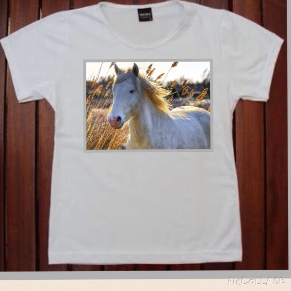 Camiseta branca 005