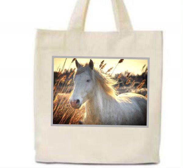 Sacola ecobag