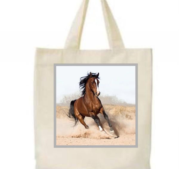 Sacola ecobag